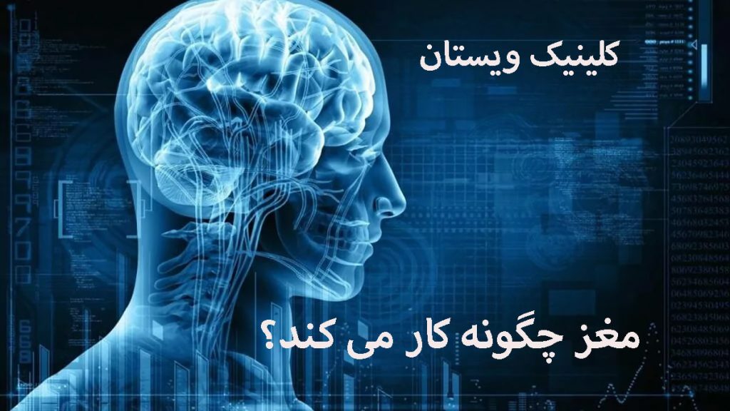 کاربرد مغز تصویری دیجیتالی از مغز