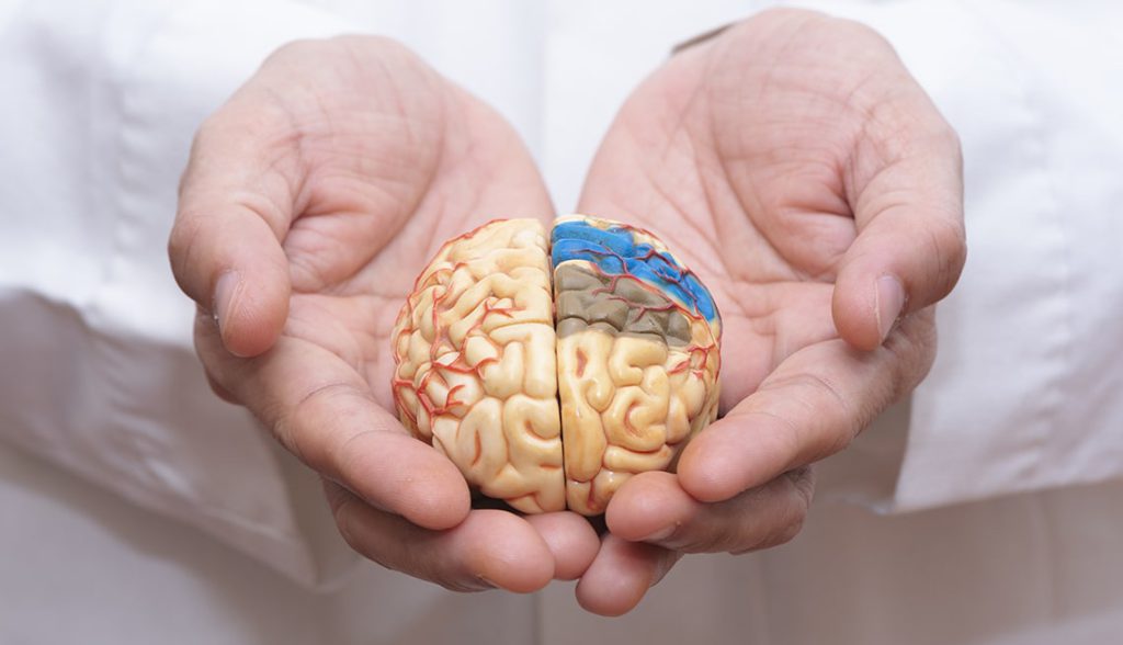 بهترین مکمل های غذایی برای بیماری آلزایمر با بهترین دکتر آلزایمر در کرج