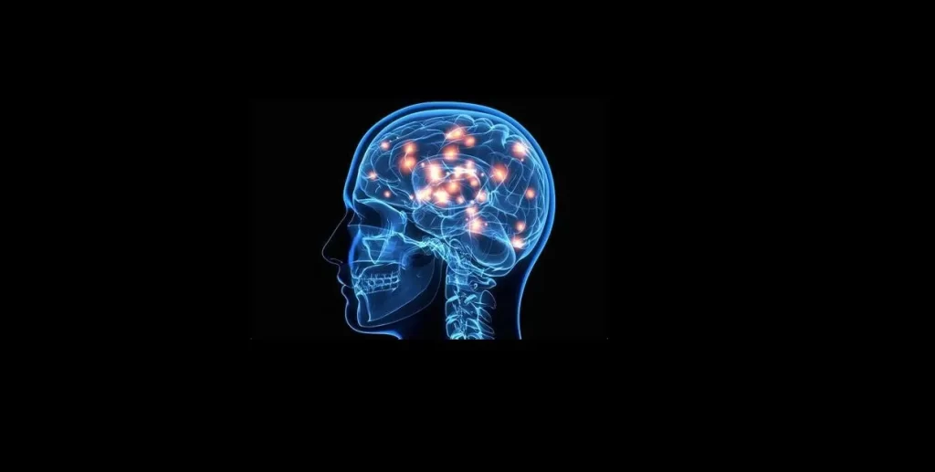 مشاوره نورولوژی چیست و متخصص مغز و اعصاب چه کاری انجام می دهد؟
