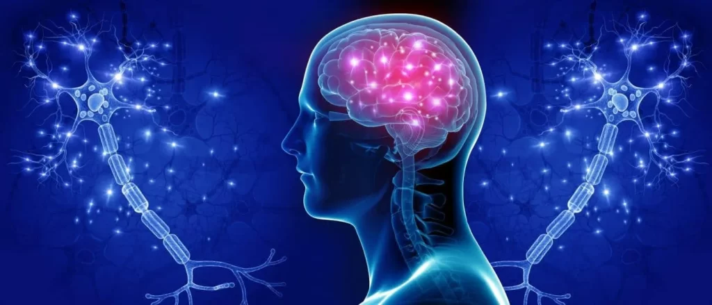 متخصص مغز و اعصاب چه بیماری هایی را درمان می کند؟