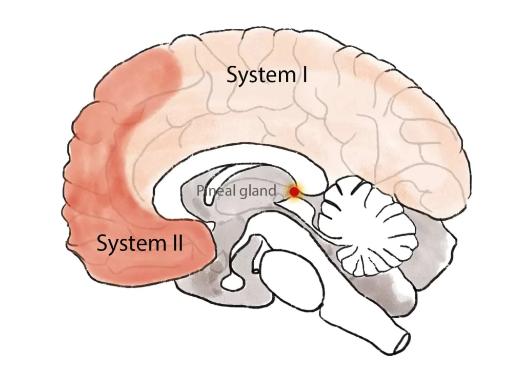 نوار مغزی برای تشخیص اختلال حافظه