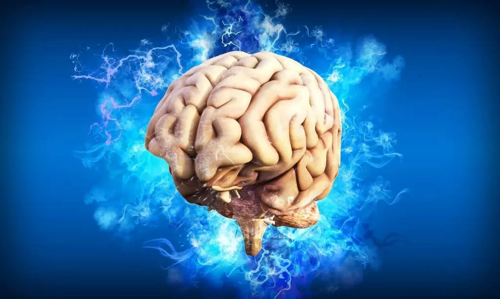 اختلال در نوار مغزی چیست؟ بررسی نوار مغزی با پروفسور مغز و اعصاب