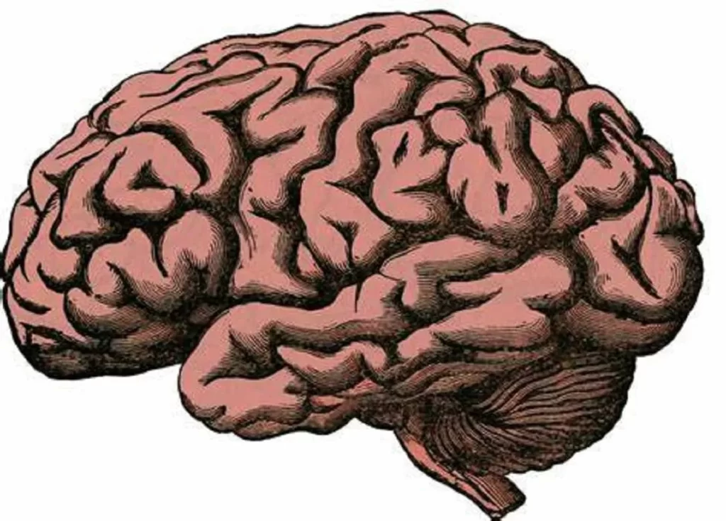 بهترین فوق تخصص صرع و تشنج کیست؟
