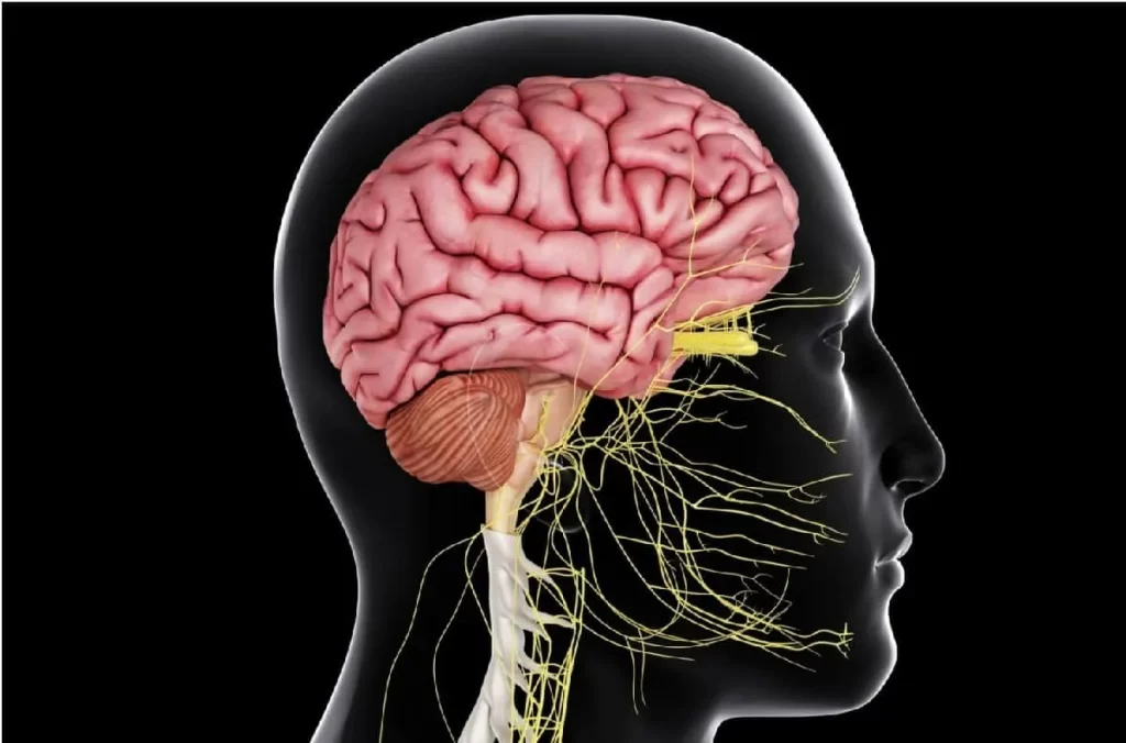 انواع عمل‌ های جراحی مغز و اعصاب