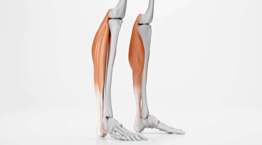 نوار عضله پا خطرات کم و عواقب نادر دارد