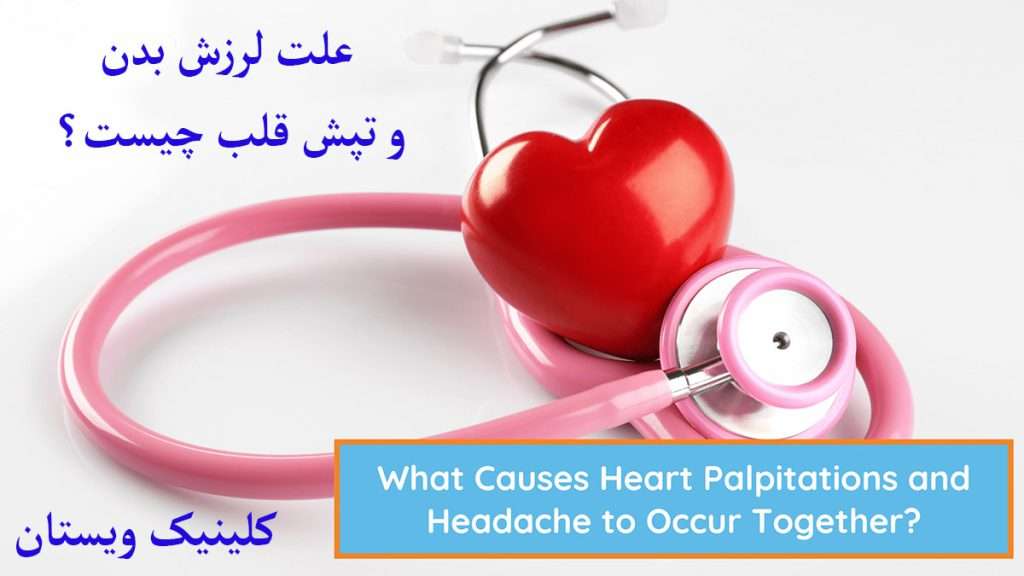 قلب انسان به همراه گوشی پزشکی برای بررسی ۀن نشان داده می شود