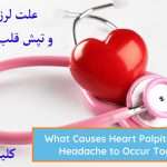 قلب انسان به همراه گوشی پزشکی برای بررسی ۀن نشان داده می شود